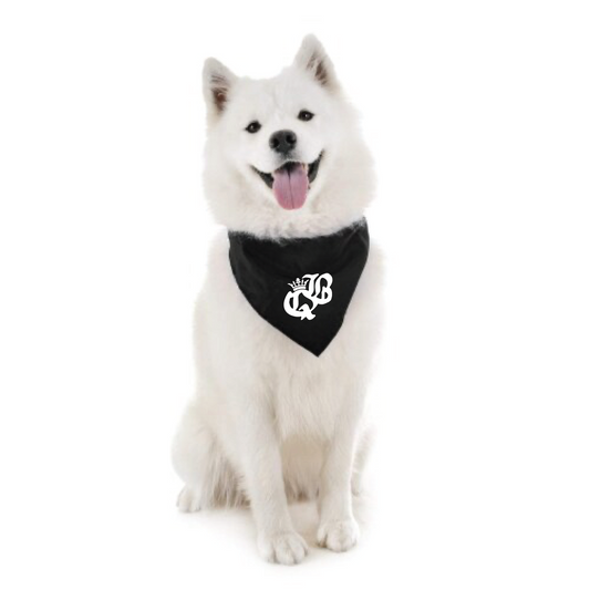 QB Dog Bandana